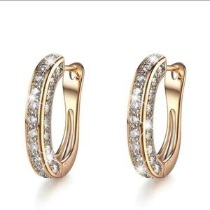 Full Rhinestone Earrings.